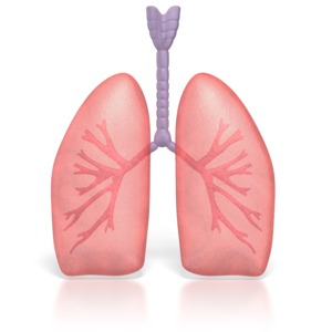 Respiratory Care